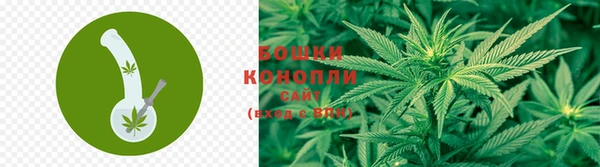 дурь Богородицк