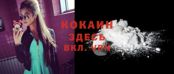 дурь Богородицк