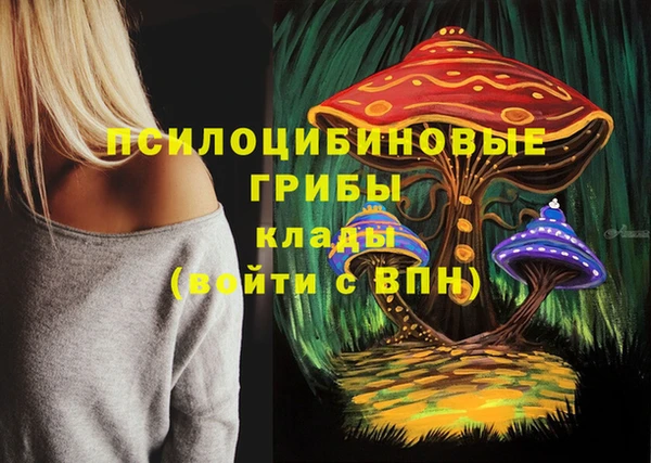 дурь Богородицк